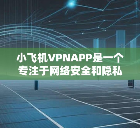 小飞机VPNAPP是一个专注于网络安全和隐私保护的应用程序，旨在为用户提供高效、可靠的VPN服务。以下是对该VPNAPP的详细分析