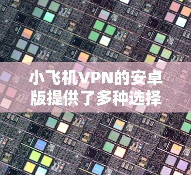 小飞机VPN的安卓版提供了多种选择和功能，适合不同需求的用户。以下是对小飞机VPN安卓版的详细分析和建议