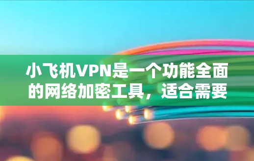小飞机VPN是一个功能全面的网络加密工具，适合需要保护隐私和安全的用户。以下是对小飞机VPN的详细分析和总结