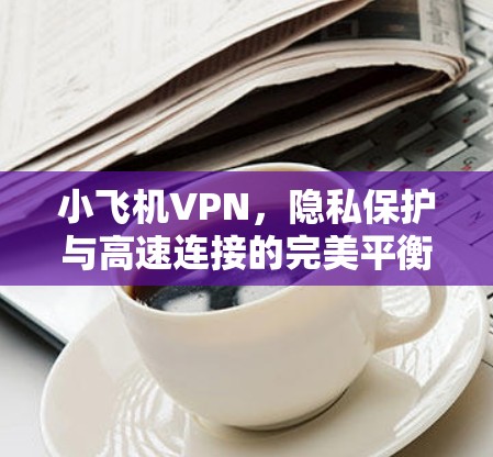 小飞机VPN，隐私保护与高速连接的完美平衡