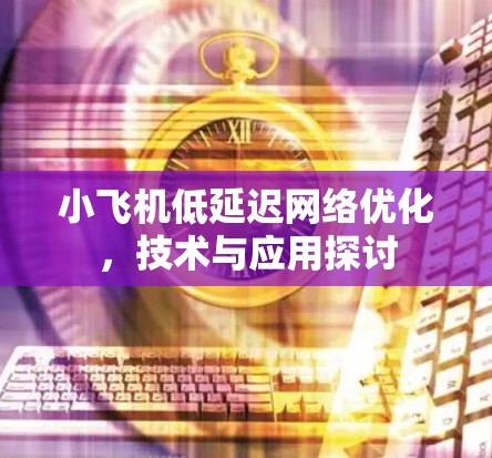 小飞机低延迟网络优化，技术与应用探讨