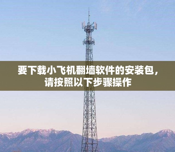 要下载小飞机翻墙软件的安装包，请按照以下步骤操作