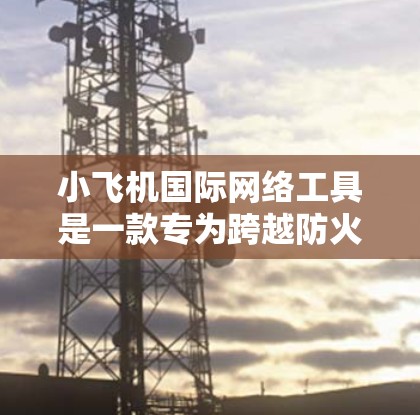 小飞机国际网络工具是一款专为跨越防火墙和网络限制设计的应用程序，旨在帮助用户快速、安全地进行数据传输和访问。以下是对小飞机国际网络工具的详细分析和总结