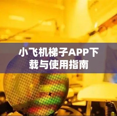 小飞机梯子APP下载与使用指南