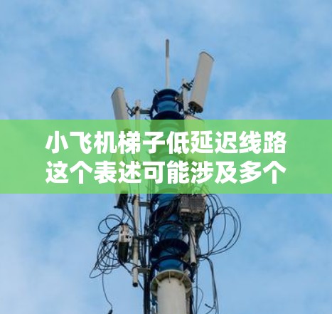 小飞机梯子低延迟线路这个表述可能涉及多个领域，具体含义取决于上下文。以下是一些可能的解释和方向