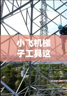 小飞机梯子工具这个词可能有多种解释，具体取决于上下文。以下是几种可能的解释