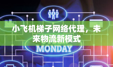 小飞机梯子网络代理，未来物流新模式