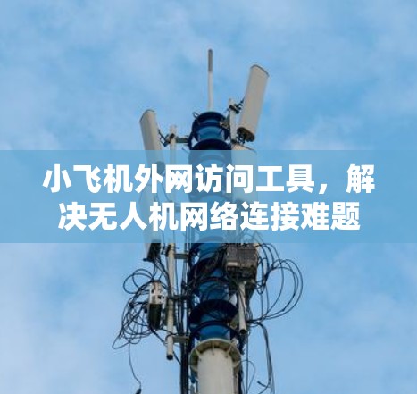 小飞机外网访问工具，解决无人机网络连接难题