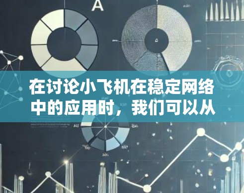 在讨论小飞机在稳定网络中的应用时，我们可以从以下几个方面进行分析