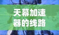 天幕加速器的线路检测对于确保实验的成功和安全至关重要。作为新手,以下步骤可以帮助您系统地进行线路检测 天幕加速器的线路检测对于确保实验的成功和安全至关重要。作为新手,以下步骤可以帮助您系统地进行线路检测