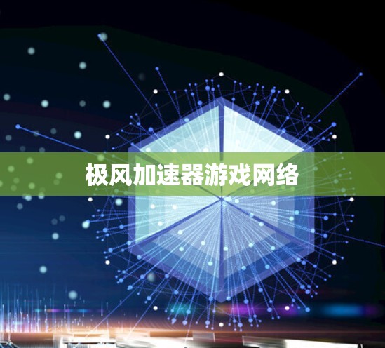 极风加速器游戏网络
