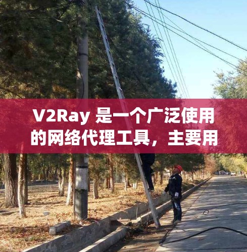 V2Ray 是一个广泛使用的网络代理工具,主要用于科学上网、防止网络监控和限制。它通过订阅地址获取代理服务器配置,用户可以根据需求选择不同的节点。以下是关于 V2Ray 订阅管理的详细说明 V2Ray 是一个广泛使用的网络代理工具,主要用于科学上网、防止网络监控和限制。它通过订阅地址获取代理服务器配置,用户可以根据需求选择不同的节点。以下是关于 V2Ray 订阅管理的详细说明