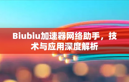 Biubiu加速器网络助手，技术与应用深度解析