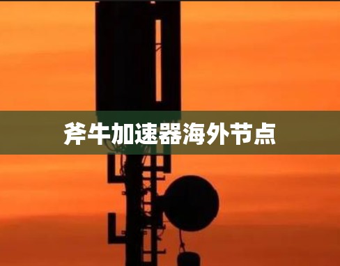 斧牛加速器海外节点