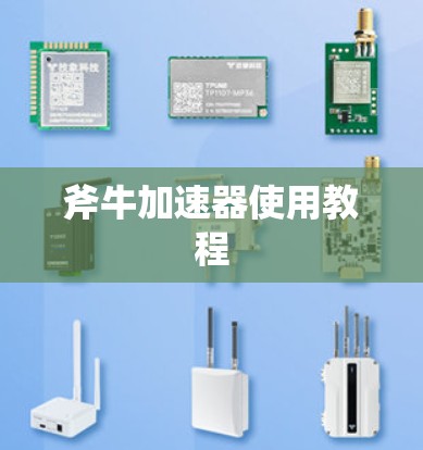 斧牛加速器使用教程