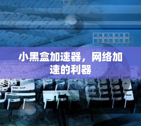 小黑盒加速器，网络加速的利器