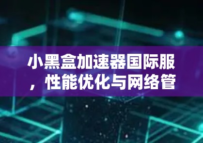 小黑盒加速器国际服,性能优化与网络管理新方案 小黑盒加速器国际服,性能优化与网络管理新方案