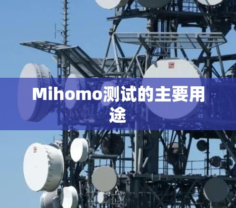 Mihomo测试的主要用途 Mihomo测试的主要用途