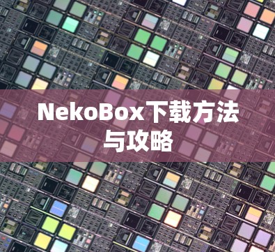 NekoBox下载方法与攻略 NekoBox下载方法与攻略