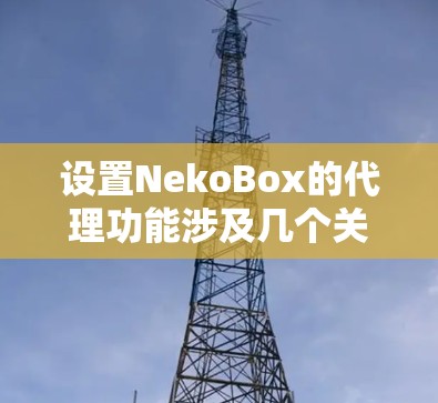 设置NekoBox的代理功能涉及几个关键步骤,确保代理服务器正常工作,并正确配置NekoBox以利用该代理。以下是详细的步骤指南 设置NekoBox的代理功能涉及几个关键步骤,确保代理服务器正常工作,并正确配置NekoBox以利用该代理。以下是详细的步骤指南