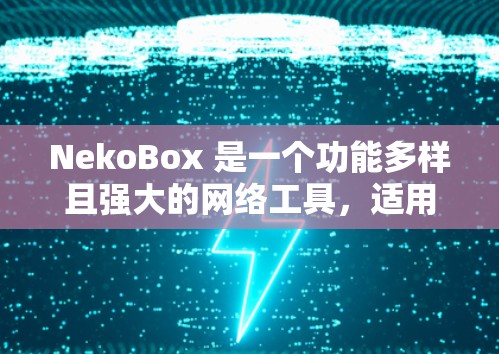 NekoBox 是一个功能多样且强大的网络工具，适用于处理网络数据、进行网络测试和保护敏感信息。以下是对 NekoBox 的详细分析和总结