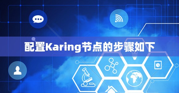配置Karing节点的步骤如下