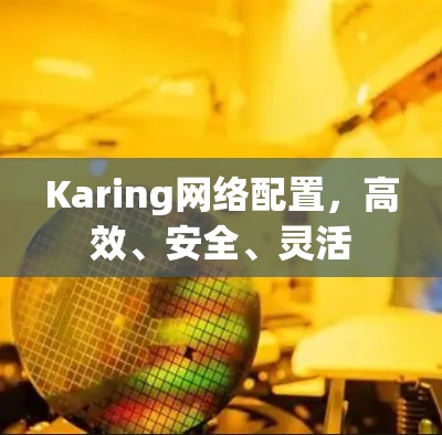 Karing网络配置,高效、安全、灵活 Karing网络配置,高效、安全、灵活
