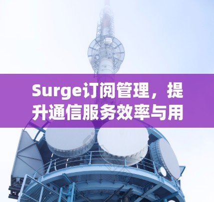 Surge订阅管理，提升通信服务效率与用户体验