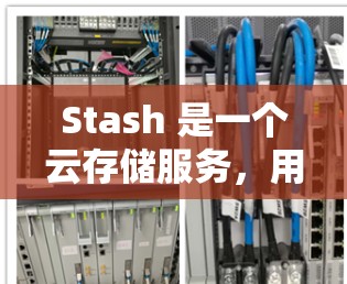 Stash 是一个云存储服务，用户可以通过网页或手机应用来管理和同步文件。要下载 Stash，首先需要访问其官方网站或应用商店获取