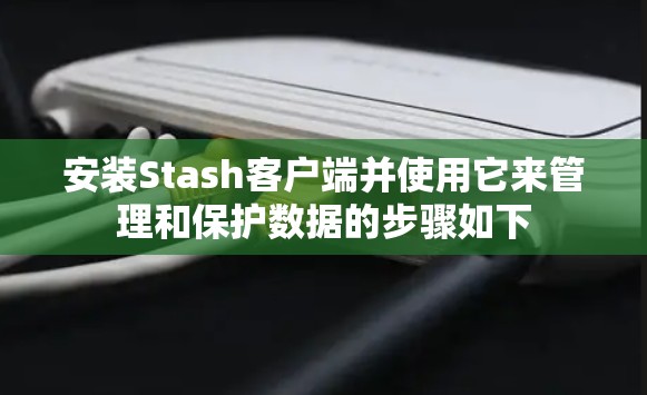安装Stash客户端并使用它来管理和保护数据的步骤如下 安装Stash客户端并使用它来管理和保护数据的步骤如下