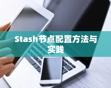 Stash节点配置方法与实践 Stash节点配置方法与实践