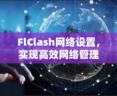 FlClash网络设置，实现高效网络管理
