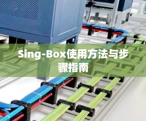 Sing-Box使用方法与步骤指南 Sing-Box使用方法与步骤指南