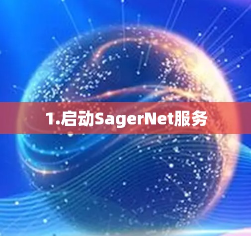 1.启动SagerNet服务 1.启动SagerNet服务