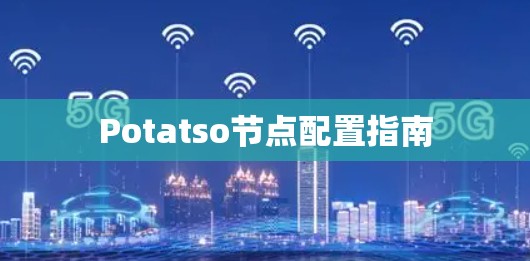 Potatso节点配置指南 Potatso节点配置指南