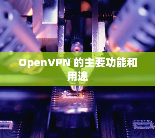 OpenVPN 的主要功能和用途 OpenVPN 的主要功能和用途