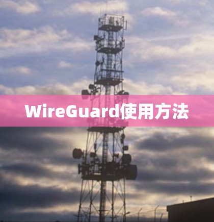 WireGuard使用方法