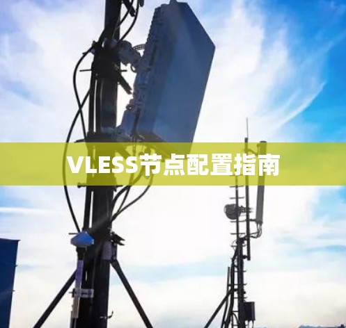 VLESS节点配置指南