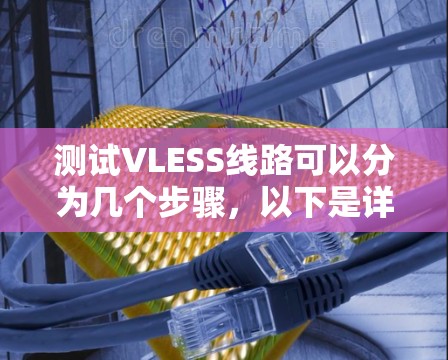 测试VLESS线路可以分为几个步骤,以下是详细的步骤说明 测试VLESS线路可以分为几个步骤,以下是详细的步骤说明