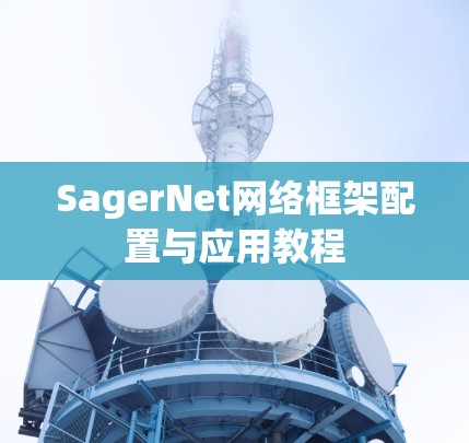 SagerNet网络框架配置与应用教程 SagerNet网络框架配置与应用教程