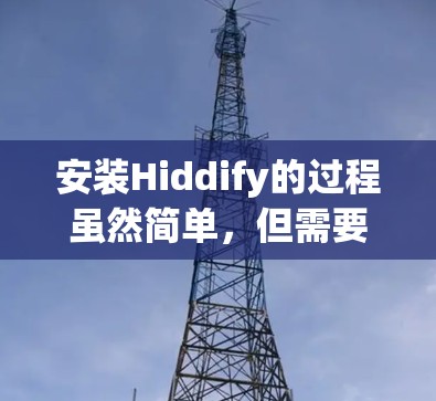 安装Hiddify的过程虽然简单,但需要仔细遵循每一步以确保顺利完成。以下是分步说明 安装Hiddify的过程虽然简单,但需要仔细遵循每一步以确保顺利完成。以下是分步说明