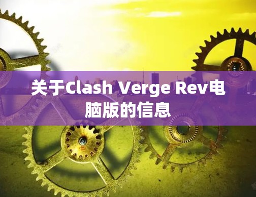 关于Clash Verge Rev电脑版的信息