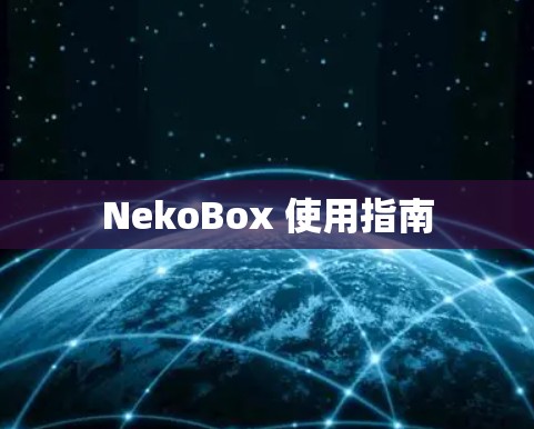 NekoBox 使用指南
