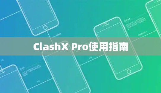 ClashX Pro使用指南 ClashX Pro使用指南