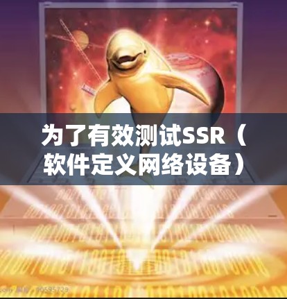 为了有效测试SSR（软件定义网络设备）线路，其实要从多个方面进行全面评估，确保其稳定性、性能和安全性。以下是一个分步骤的测试指南