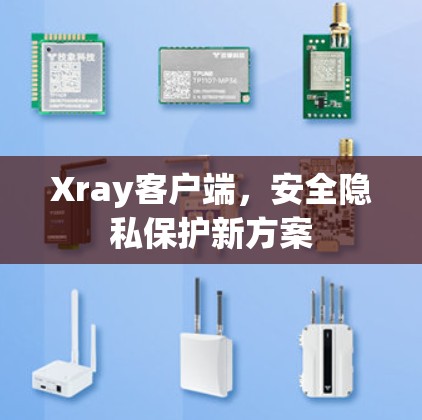 Xray客户端，安全隐私保护新方案