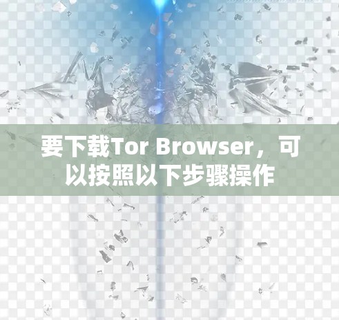 要下载Tor Browser,可以按照以下步骤操作 要下载Tor Browser,可以按照以下步骤操作