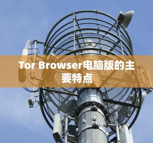 Tor Browser电脑版的主要特点 Tor Browser电脑版的主要特点