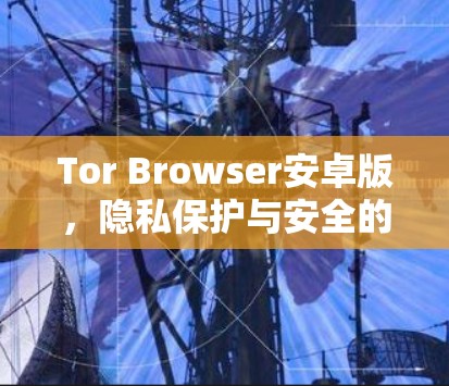Tor Browser安卓版，隐私保护与安全的新选择