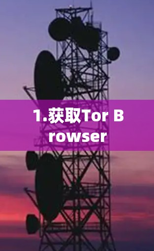 1.获取Tor Browser